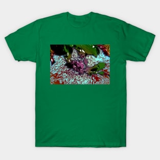 Abstract Background_Holly Branch T-Shirt
